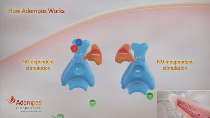 HOW ADEMPAS WORKS