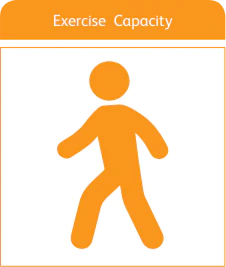 Title exercise-capacity