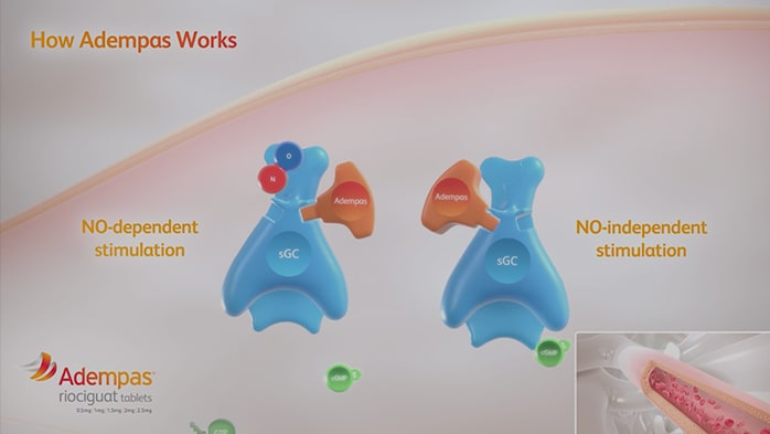 HOW ADEMPAS WORKS