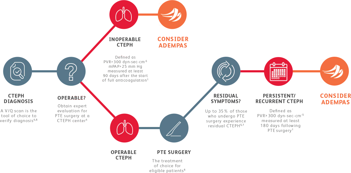 Flowchart for CTEPH patient evaluation