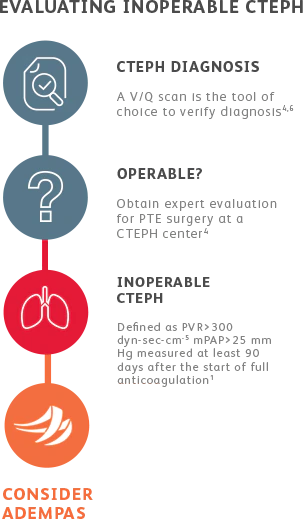 Flowchart for CTEPH patient evaluation
