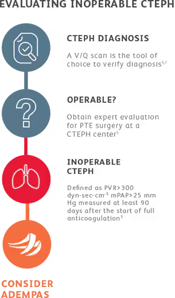 Flowchart for CTEPH patient evaluation