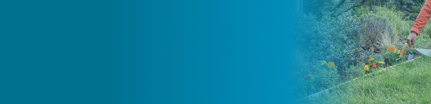 Person holding a small gardening tool near a flower bed with colourful flowers