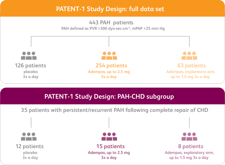 Infographic showing PATENT-1 study design for the full data set and PAH-CHD subgroup.