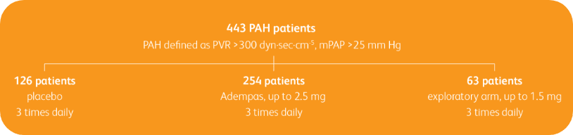 Diagram showing distribution of 443 PAH patients in a PATENT-1 clinical study.