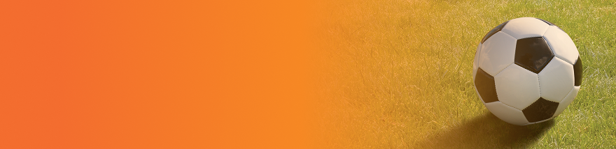 Soccer ball resting on green grass